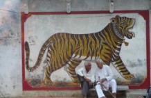 Jaipur rugs (2)