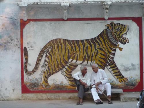 Jaipur rugs (2)