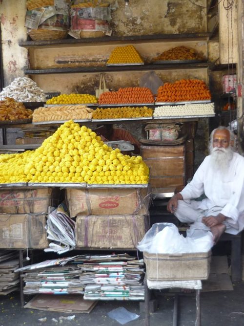 Jaipur (3)