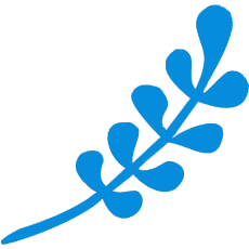 Stencil Program