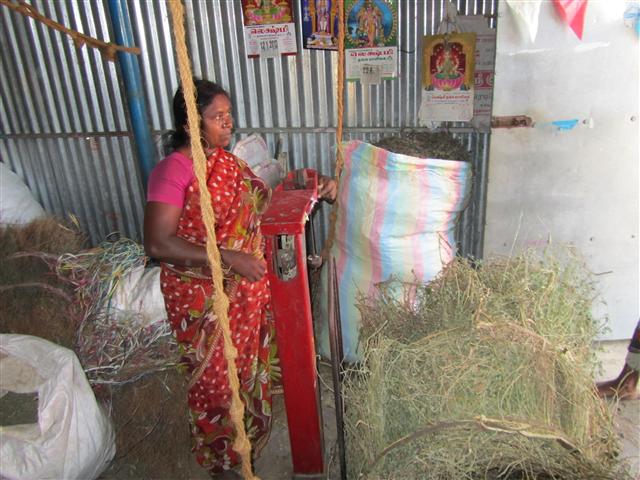 Great opportunities for Gram Mooligai through trends such as wellness