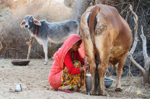 The Times they are a changin’ at Apni Saheli… and for the better