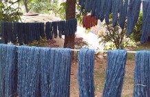Avani’s natural dyes from the Himalayas