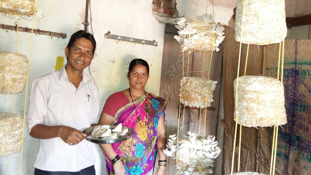 Creating a basis for healthy growth in Poultry and Oyster Mushrooms