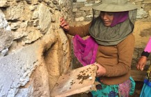 Making a living in the Himalayas