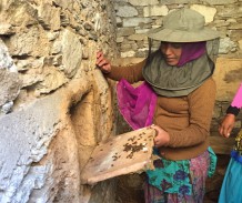 Making a living in the Himalayas