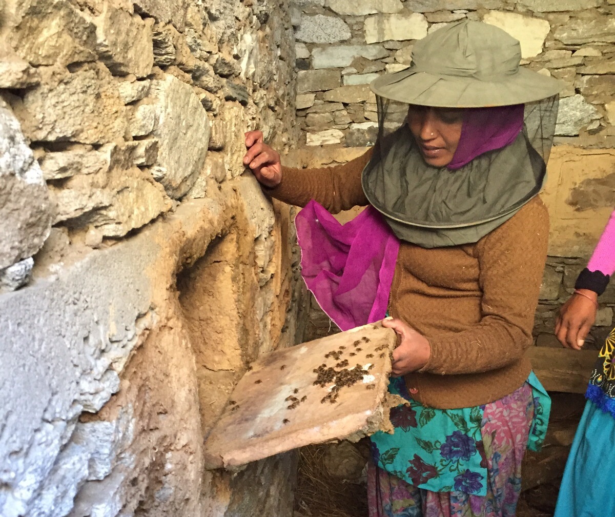 Making a living in the Himalayas