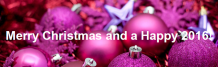 Merry Christmas and a Happy New Year!
