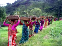 Umang provides additional income to hill women