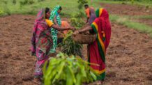 CropConnect and Women on Wings start collaborating