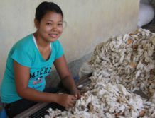 Growth visible at FabricPlus in Assam