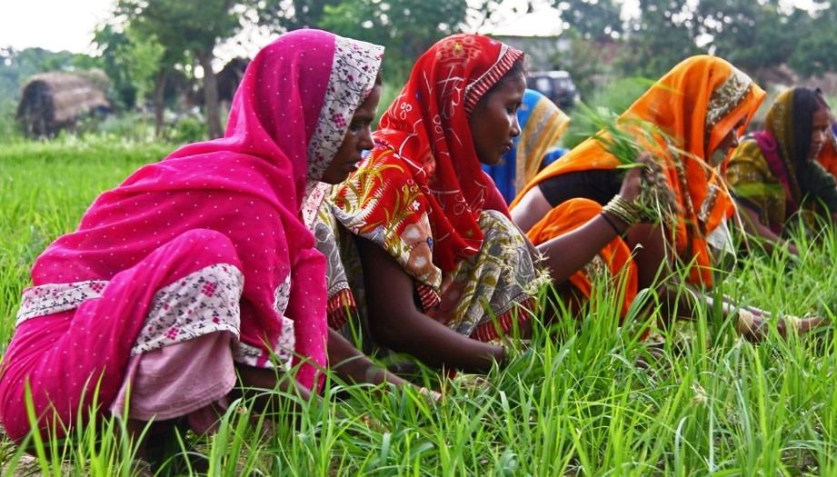 Female farmers benefit from Jugaad