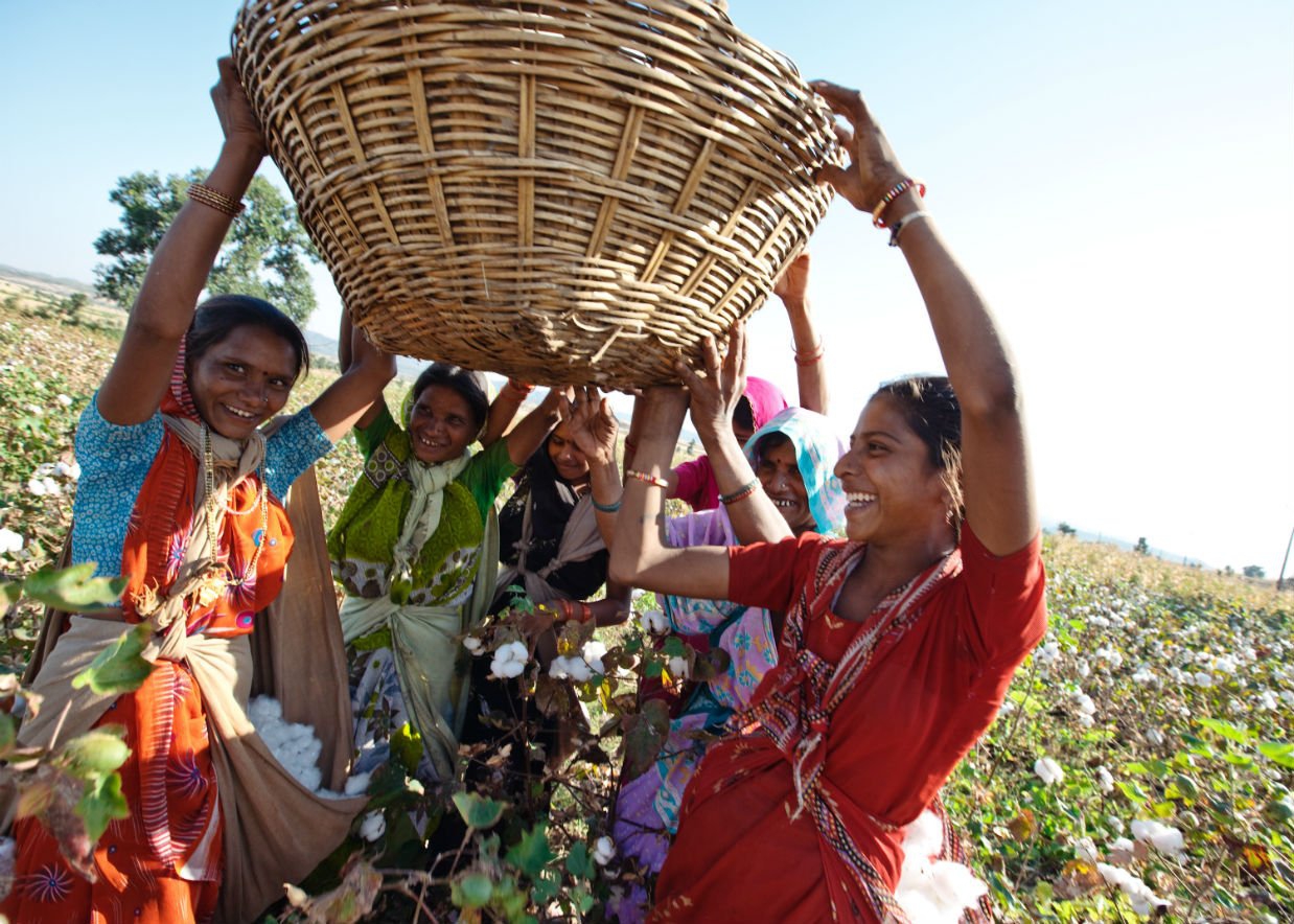 Changing the world with regenerative organic cotton