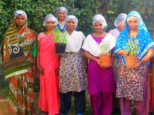 Rural women benefit from wholesale success
