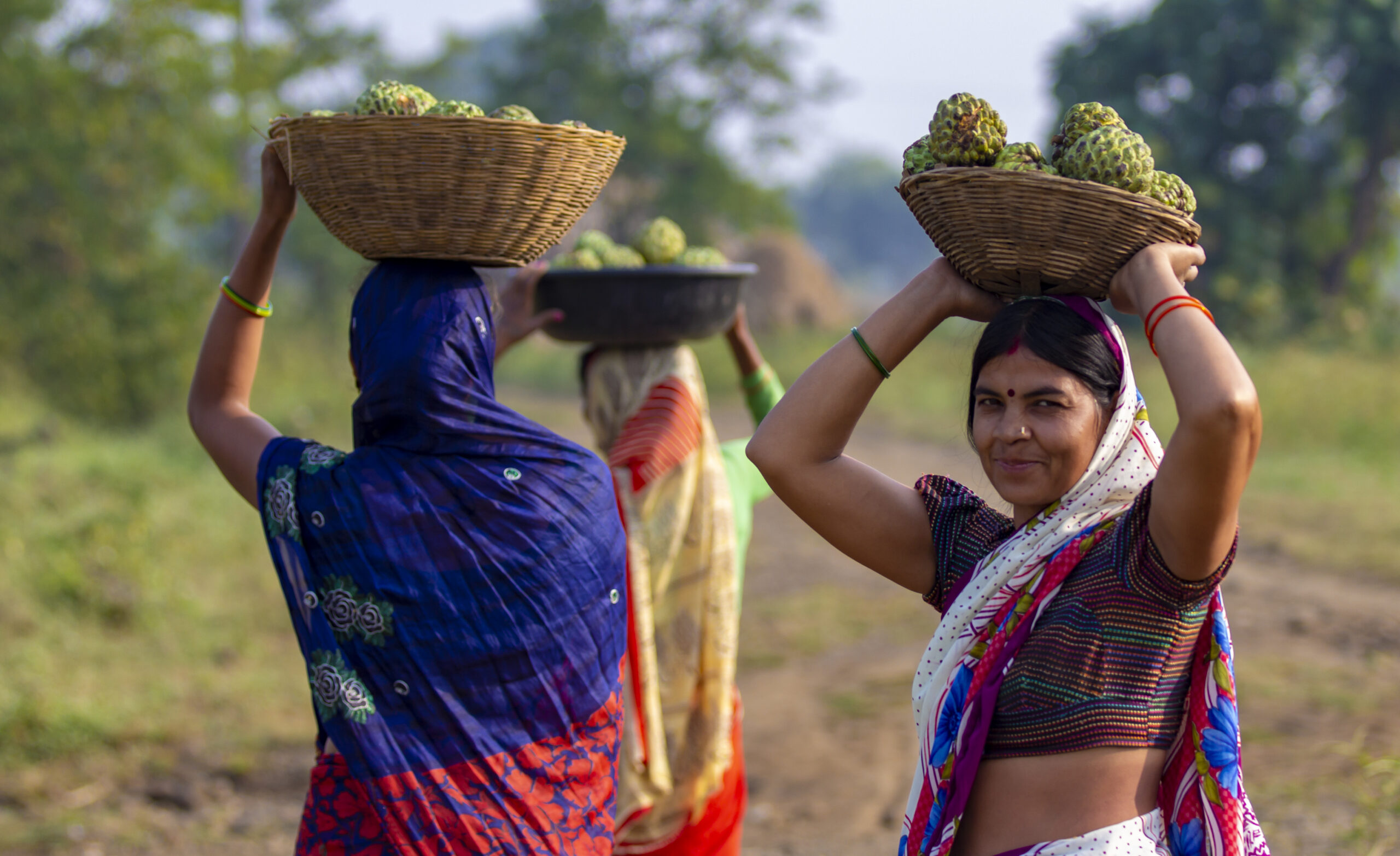 Bastar Se Bazaar Tak provides income to tribal women