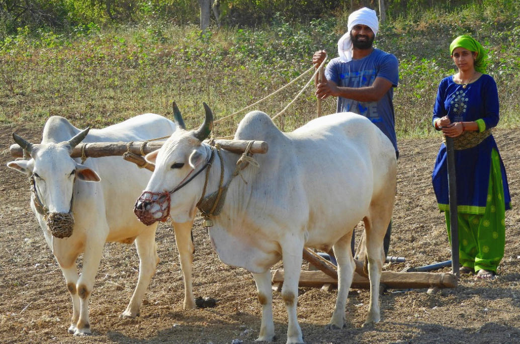 GramHeet re-imagines rural economy