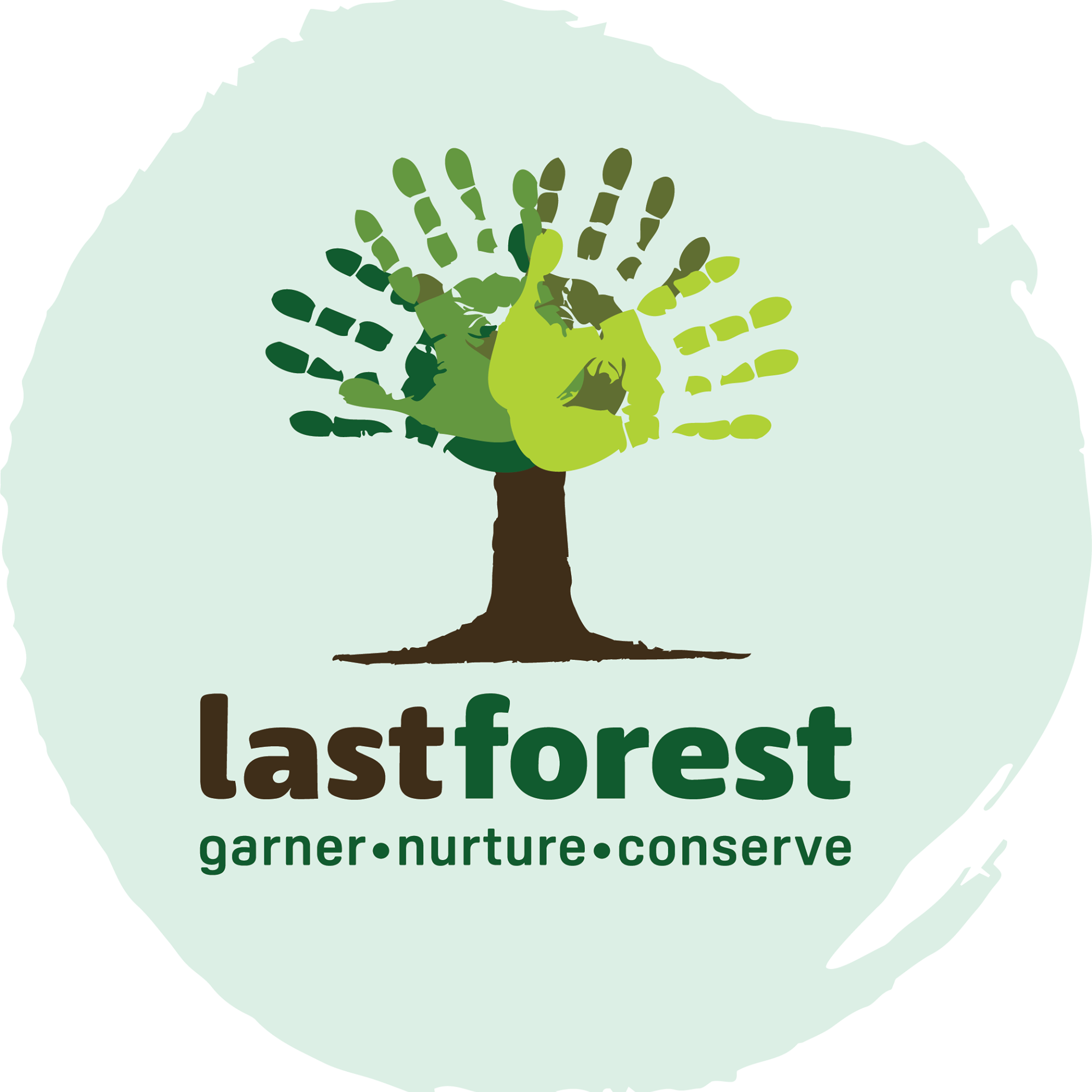 Last Forest