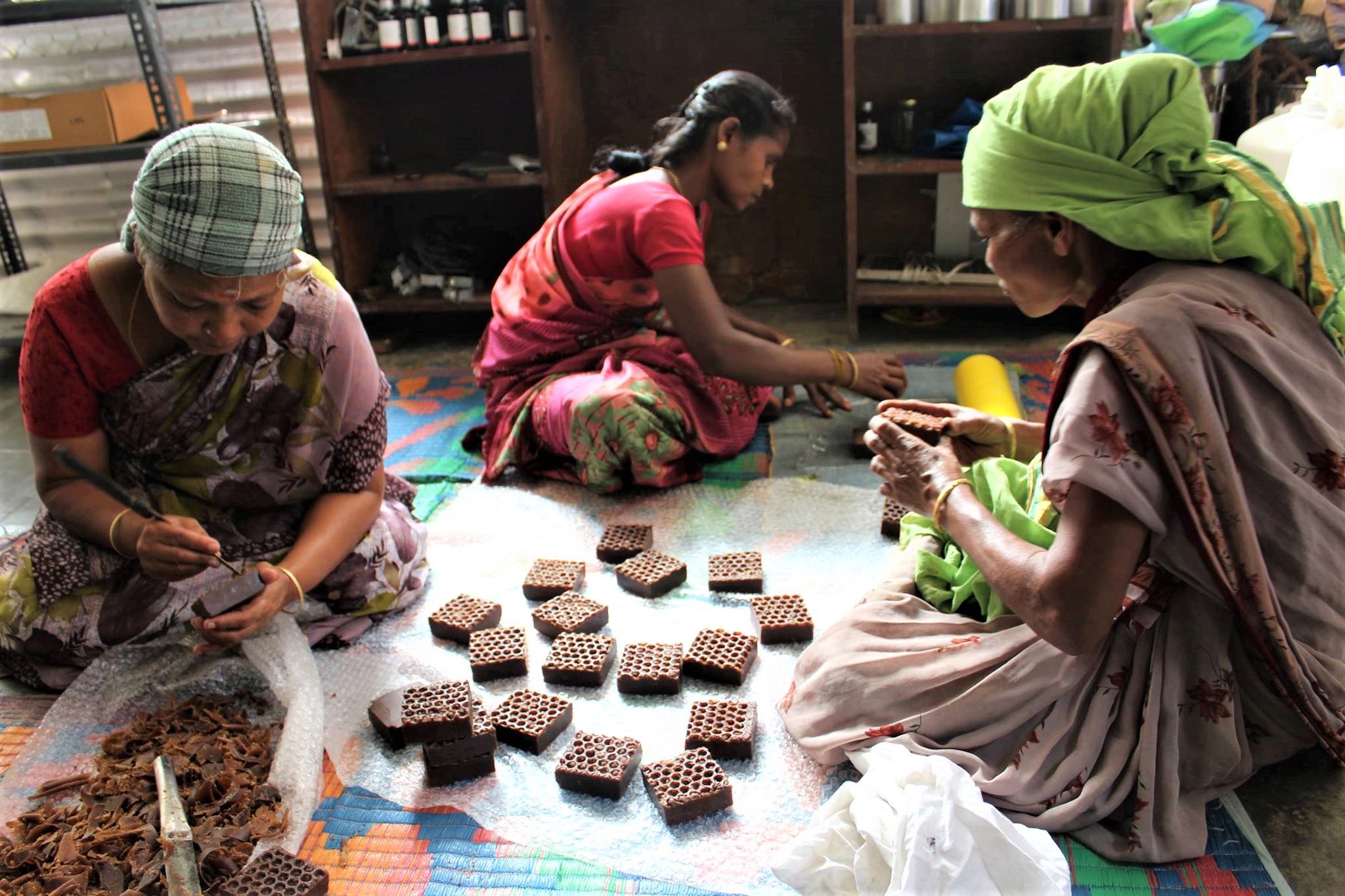Last Forest brings economic growth to indigenous communities