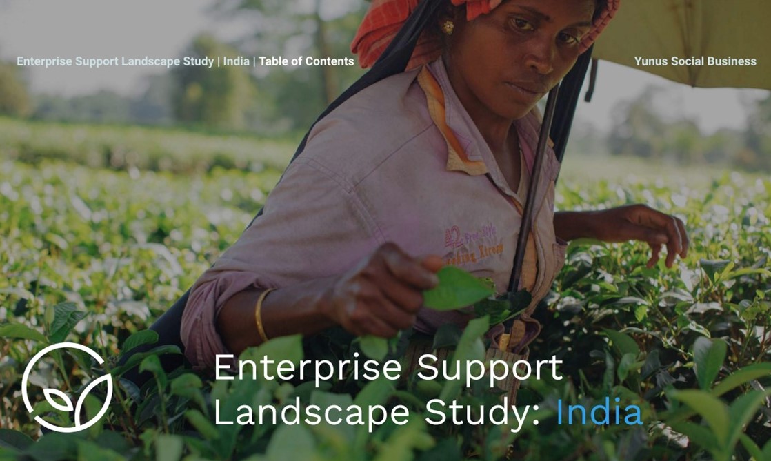 Women on Wings mentioned in Yunus Social Business’ India’s landscape study