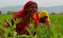 New partner B&B Organics aims for health, economic and environmental impact