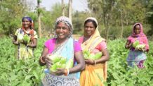 Partnership Women on Wings and Jharkhand Government in full swing