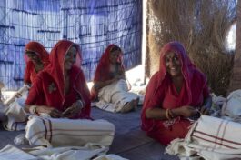 Latest result: 285,000 jobs for women in rural India