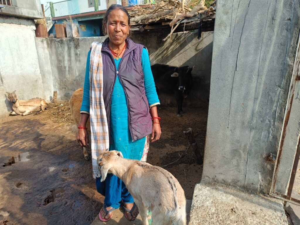 Laxi Devi standing with her livestock in the Himalayas