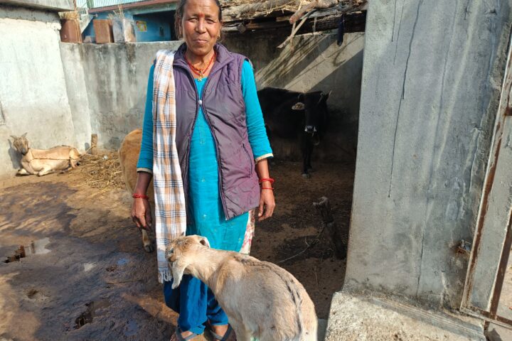 Laxi Devi standing with her livestock in the Himalayas